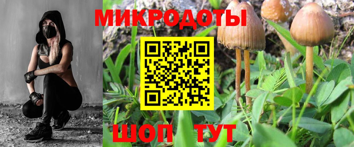Пугачёв  Псилоцибиновые грибы Cubensis  Вход с VPN 