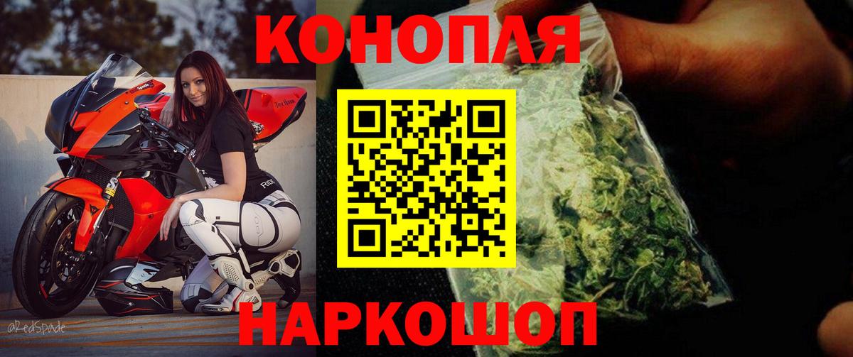 Канабис семена  Бошки Шишки SATIVA & INDICA  Пугачёв  Вход с VPN 